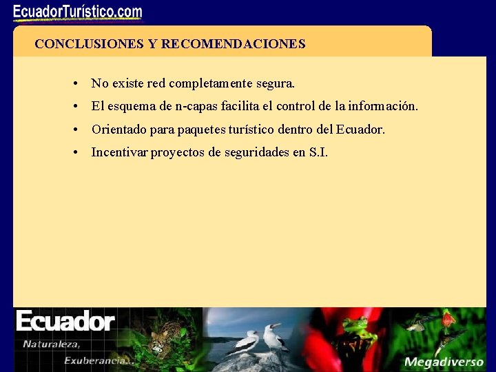 CONCLUSIONES Y RECOMENDACIONES • No existe red completamente segura. • El esquema de n-capas