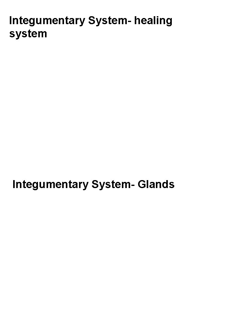 Integumentary System- healing system Integumentary System- Glands 