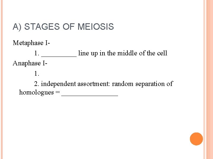 A) STAGES OF MEIOSIS Metaphase I 1. _____ line up in the middle of