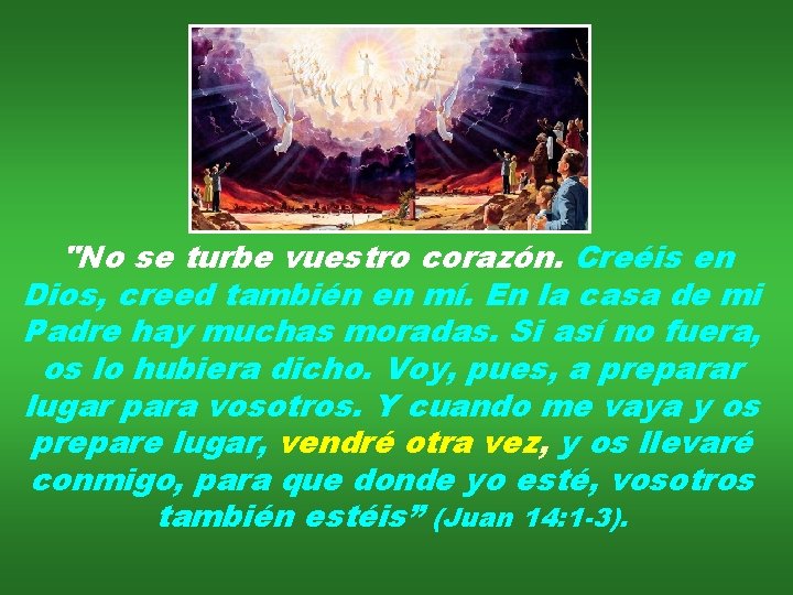 "No se turbe vuestro corazón. Creéis en Dios, creed también en mí. En la