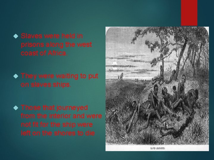  Slaves were held in prisons along the west coast of Africa. They were