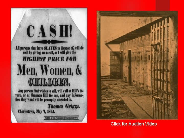 Click for Auction Video 