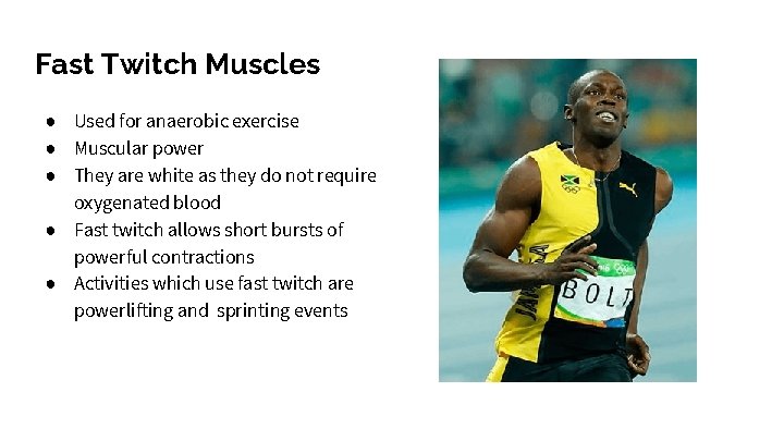 Fast Twitch Muscles ● Used for anaerobic exercise ● Muscular power ● They are