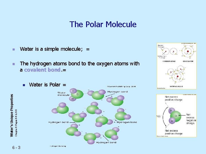 The Polar Molecule n n Water is a simple molecule; = The hydrogen atoms