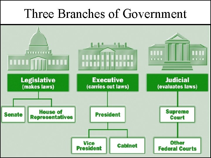 Three Branches of Government 
