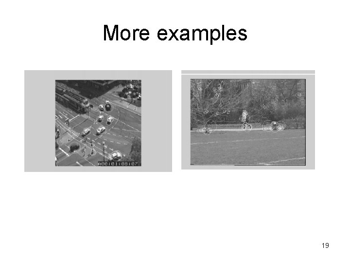 More examples 19 More examples 19