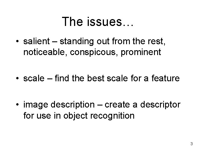 The issues… • salient – standing out from the rest, noticeable, conspicous, prominent • The issues… • salient – standing out from the rest, noticeable, conspicous, prominent •