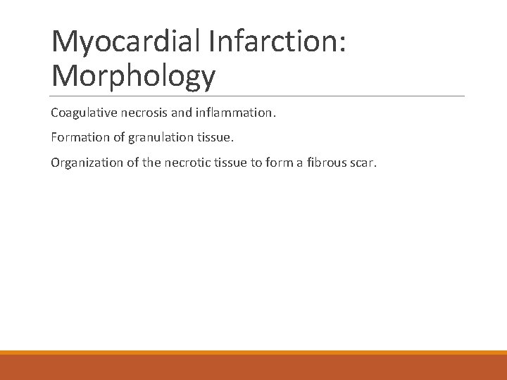 Myocardial Infarction: Morphology Coagulative necrosis and inflammation. Formation of granulation tissue. Organization of the
