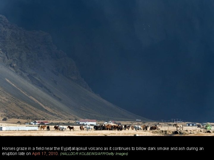 Horses graze in a field near the Eyjafjallajokull volcano as it continues to billow