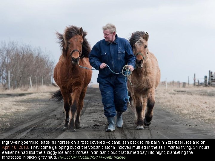 Ingi Sveinbjoernsso leads his horses on a road covered volcanic ash back to his