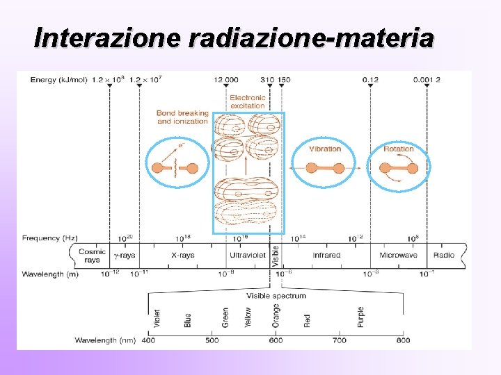 Interazione radiazione-materia 