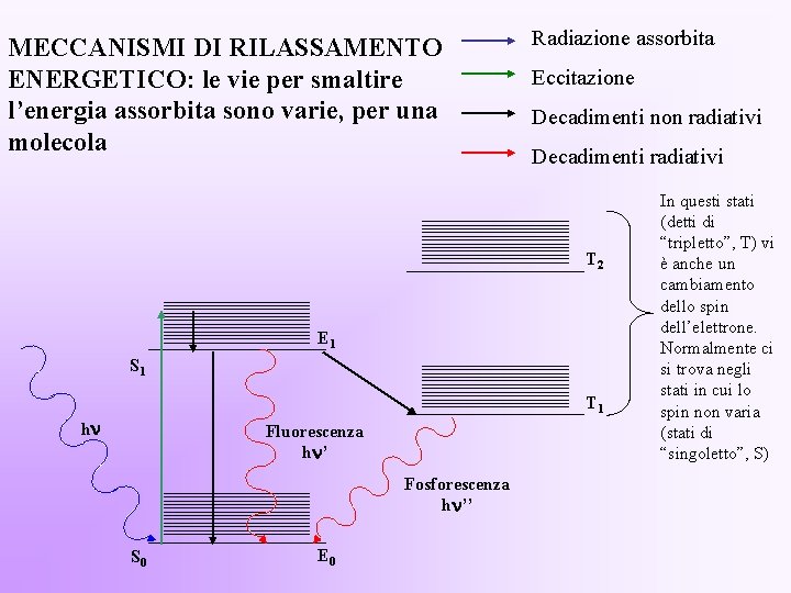 MECCANISMI DI RILASSAMENTO ENERGETICO: le vie per smaltire l’energia assorbita sono varie, per una