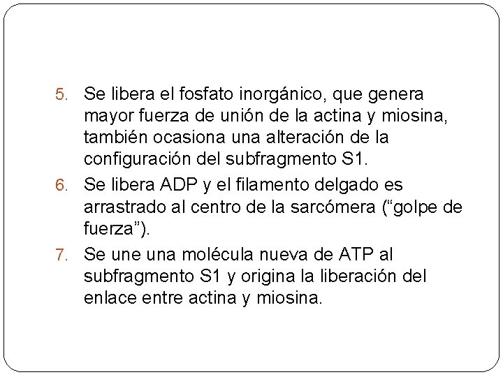 5. Se libera el fosfato inorgánico, que genera mayor fuerza de unión de la