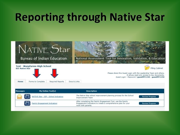Reporting through Native Star 