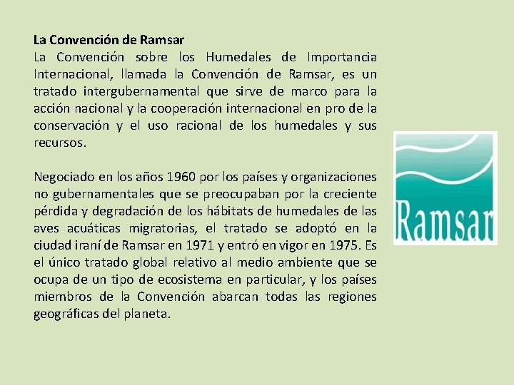 La Convención de Ramsar La Convención sobre los Humedales de Importancia Internacional, llamada la