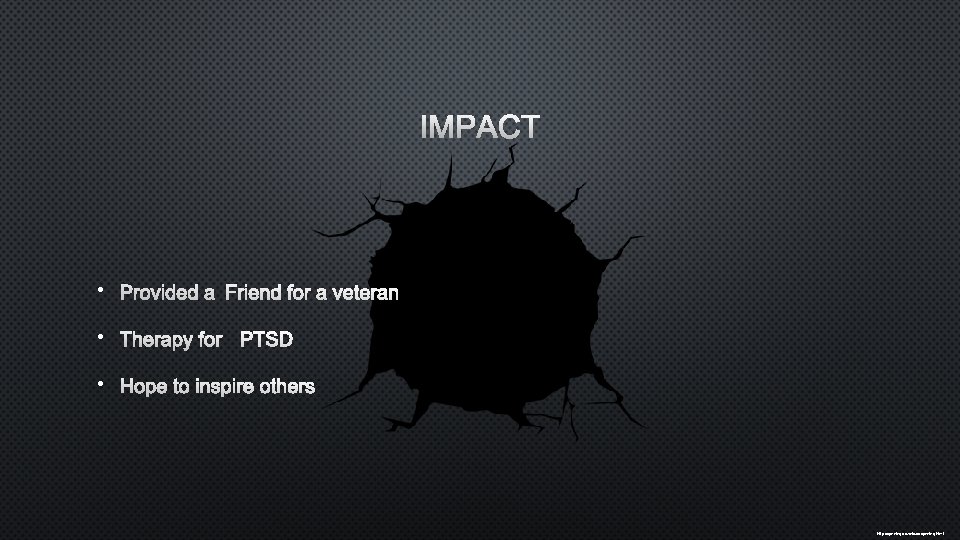 IMPACT • PROVIDED A FRIEND FOR A VETERAN • THERAPY FOR PTSD • HOPE