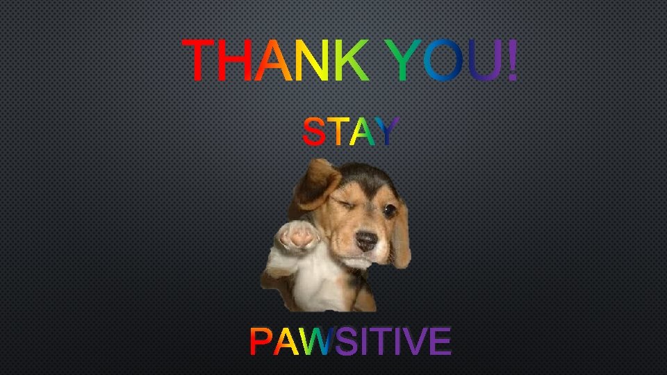 STAY PAWSITIVE 