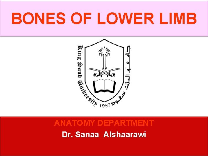 BONES OF LOWER LIMB ANATOMY DEPARTMENT Dr. Sanaa Alshaarawi 