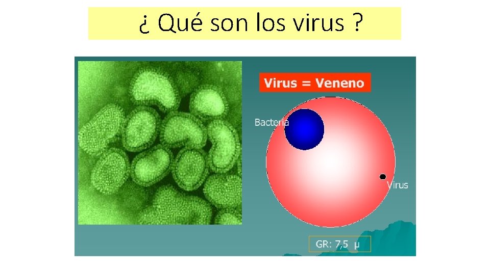 ¿ Qué son los virus ? 