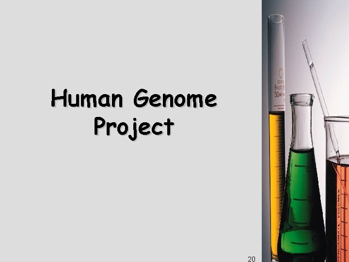 Human Genome Project 20 