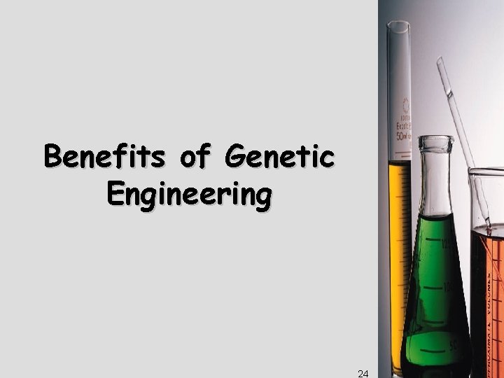 Benefits of Genetic Engineering 24 