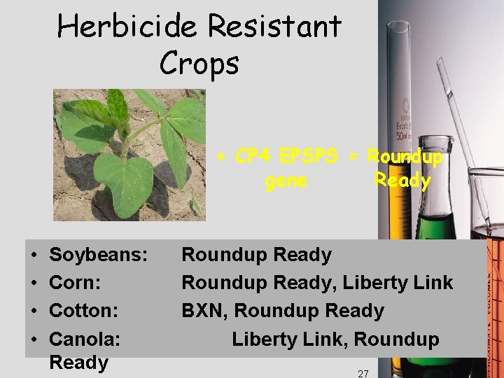 Herbicide Resistant Crops + CP 4 EPSPS = Roundup gene Ready • • Soybeans: