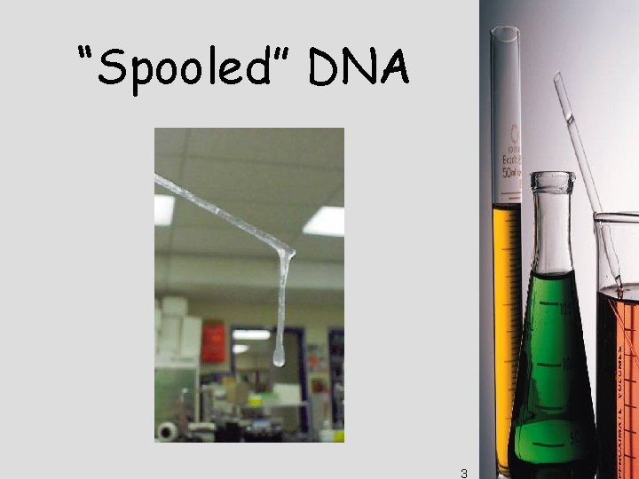 “Spooled” DNA 3 
