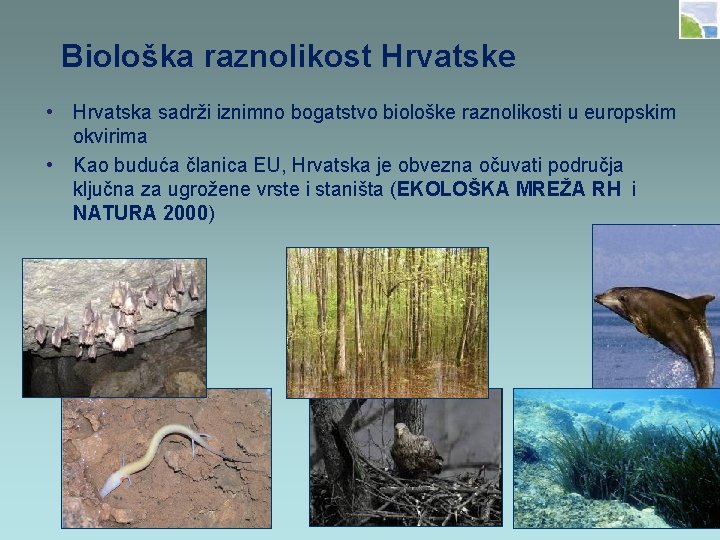 Biološka raznolikost Hrvatske • Hrvatska sadrži iznimno bogatstvo biološke raznolikosti u europskim okvirima •