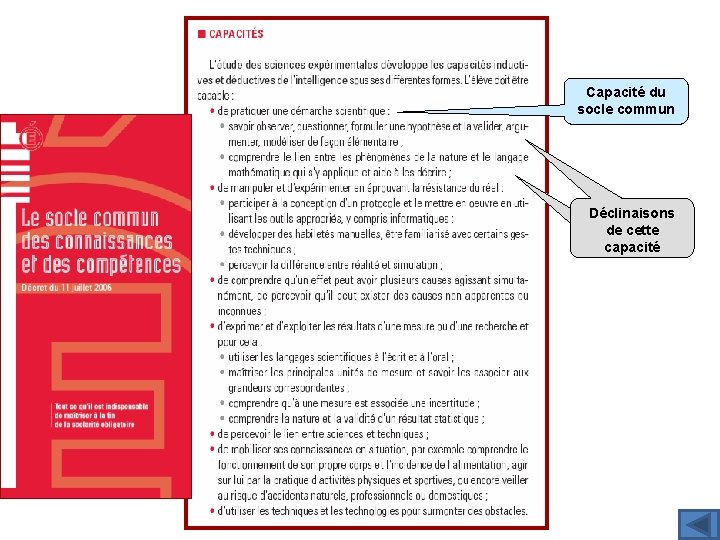 Capacité du socle commun Déclinaisons de cette capacité 