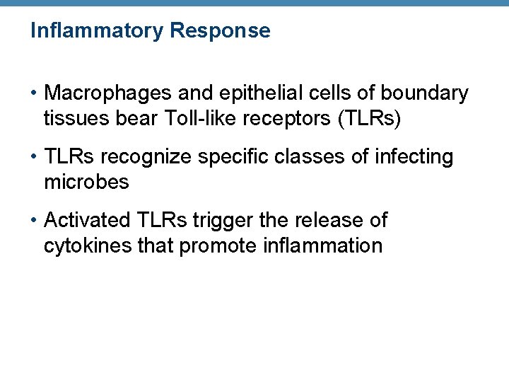 Inflammatory Response • Macrophages and epithelial cells of boundary tissues bear Toll-like receptors (TLRs)