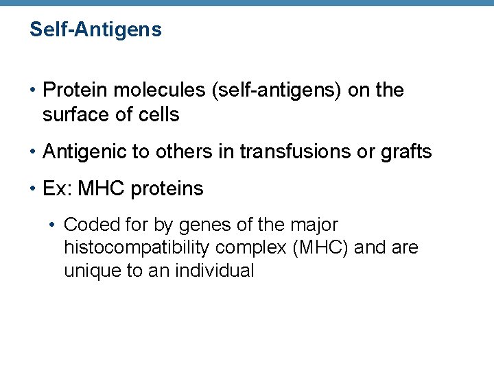 Self-Antigens • Protein molecules (self-antigens) on the surface of cells • Antigenic to others
