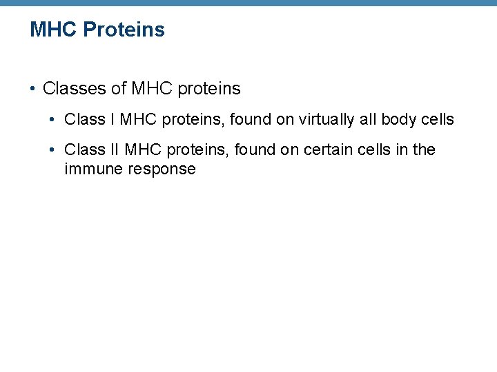 MHC Proteins • Classes of MHC proteins • Class I MHC proteins, found on