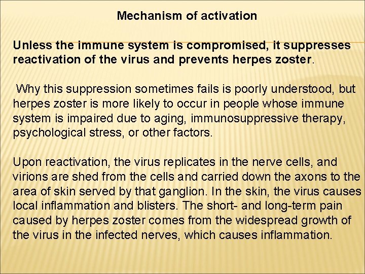 Mechanism of activation Unless the immune system is compromised, it suppresses reactivation of the