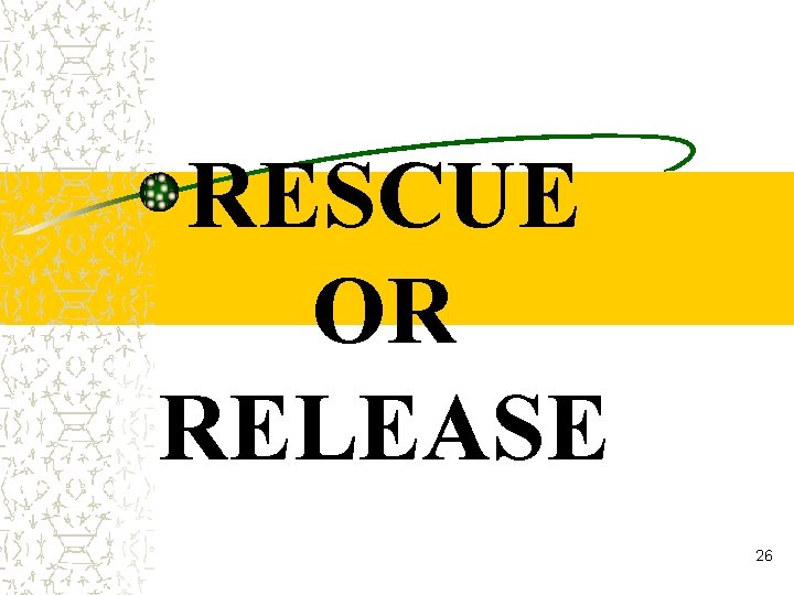 RESCUE OR RELEASE 26 