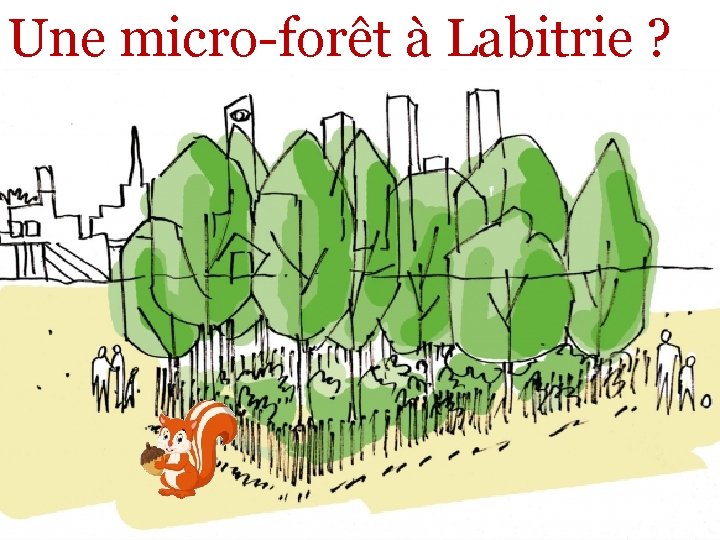 Une micro-forêt à Labitrie ? 