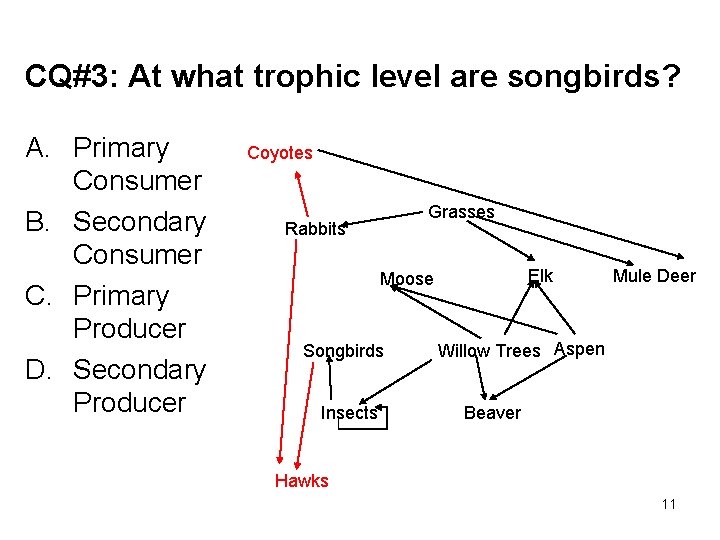 CQ#3: At what trophic level are songbirds? A. Primary Consumer B. Secondary Consumer C.