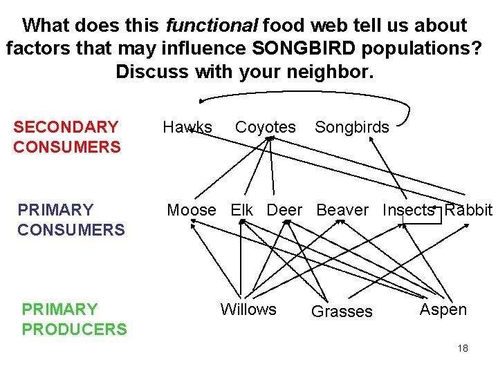 What does this functional food web tell us about factors that may influence SONGBIRD