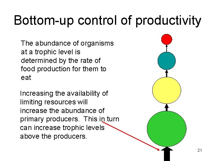 Bottom-up control of productivity The abundance of organisms at a trophic level is determined