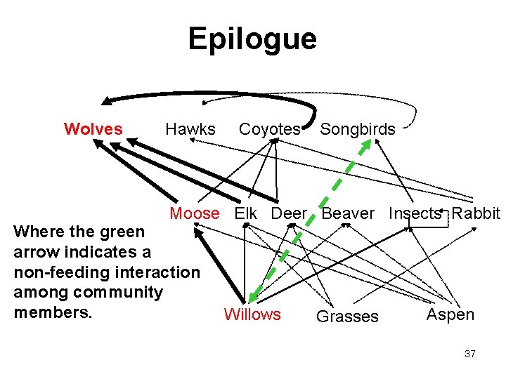 Epilogue Wolves Hawks Coyotes Songbirds Moose Elk Deer Beaver Insects Rabbit Where the green