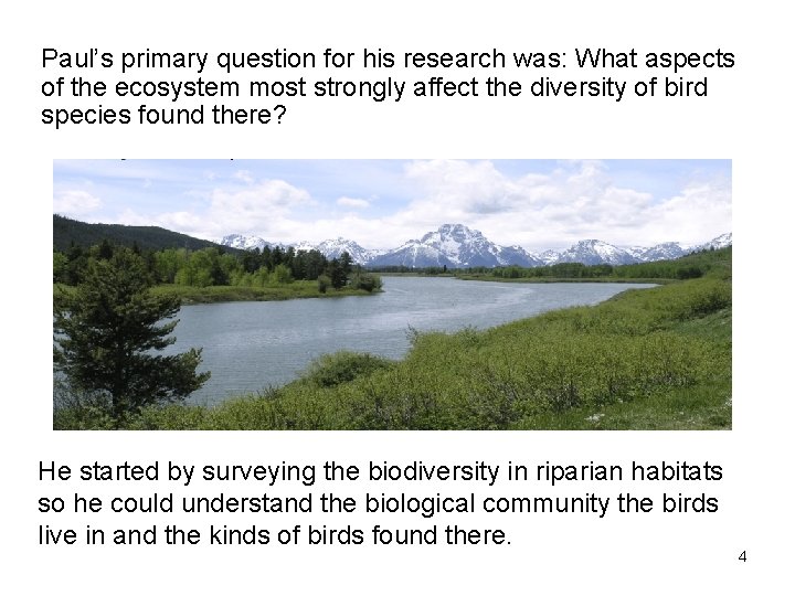 Paul’s primary question for his research was: What aspects of the ecosystem most strongly