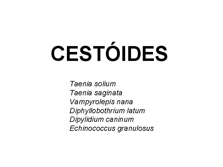 CESTÓIDES Taenia solium Taenia saginata Vampyrolepis nana Diphyllobothrium latum Dipylidium caninum Echinococcus granulosus 