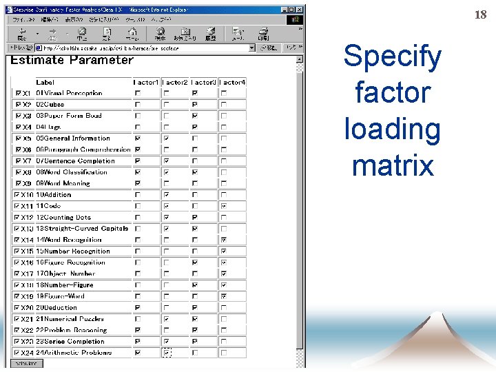 18 Specify factor loading matrix 