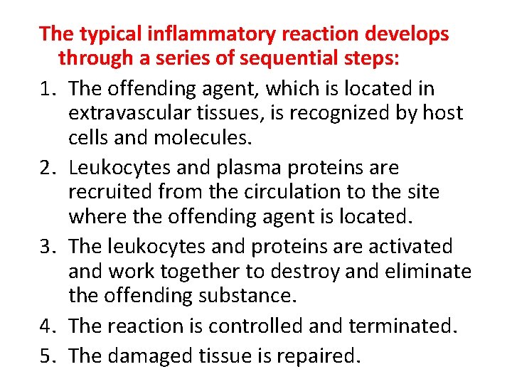 The typical inflammatory reaction develops through a series of sequential steps: 1. The offending