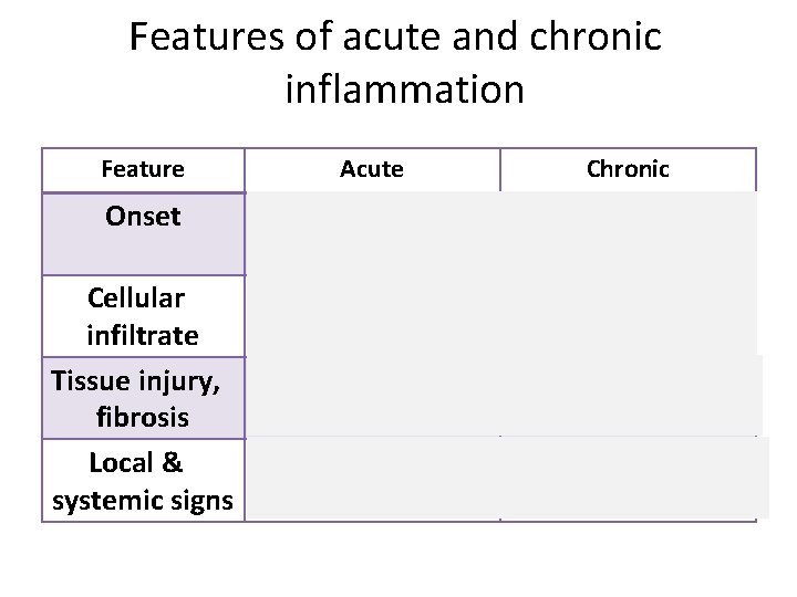 Features of acute and chronic inflammation Feature Acute Chronic Onset Fast : minutes or