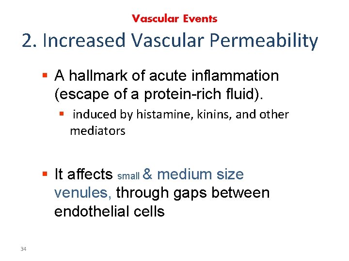 Vascular Events 2. Increased Vascular Permeability § A hallmark of acute inflammation (escape of