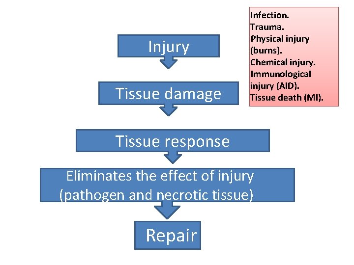 Injury Tissue damage Infection. Trauma. Physical injury (burns). Chemical injury. Immunological injury (AID). Tissue