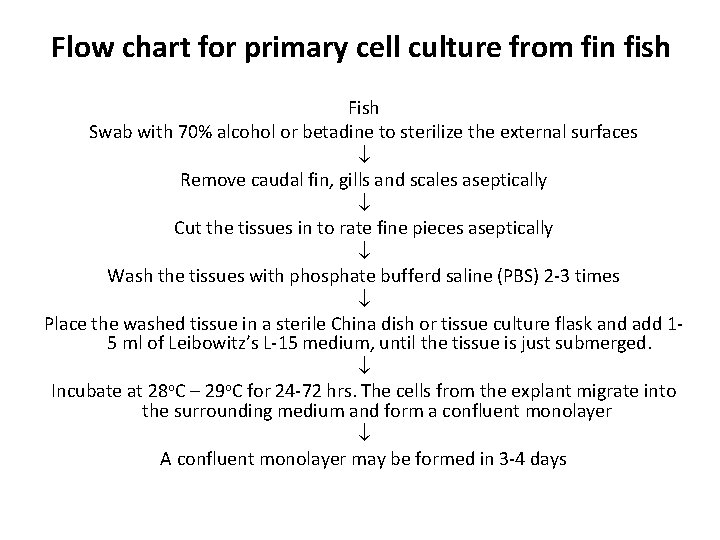 Flow chart for primary cell culture from fin fish Fish Swab with 70% alcohol