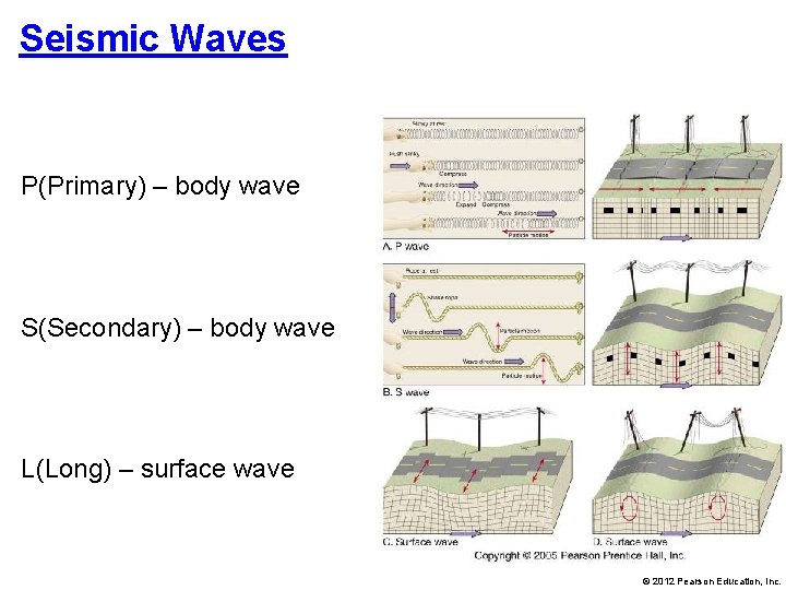 Seismic Waves P(Primary) – body wave S(Secondary) – body wave L(Long) – surface wave