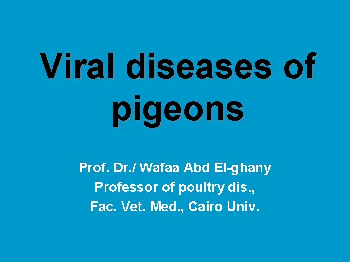 Viral diseases of pigeons Prof. Dr. / Wafaa Abd El-ghany Professor of poultry dis.