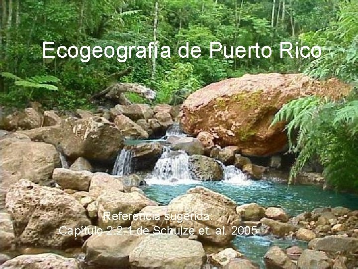 Ecogeografía de Puerto Rico Referencia sugerida: Capítulo 2. 2. 1 de Schulze et. al.